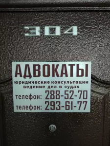 Фотография Адвокаты Балуева Е.Г. и Агадуллин Р.И. 1